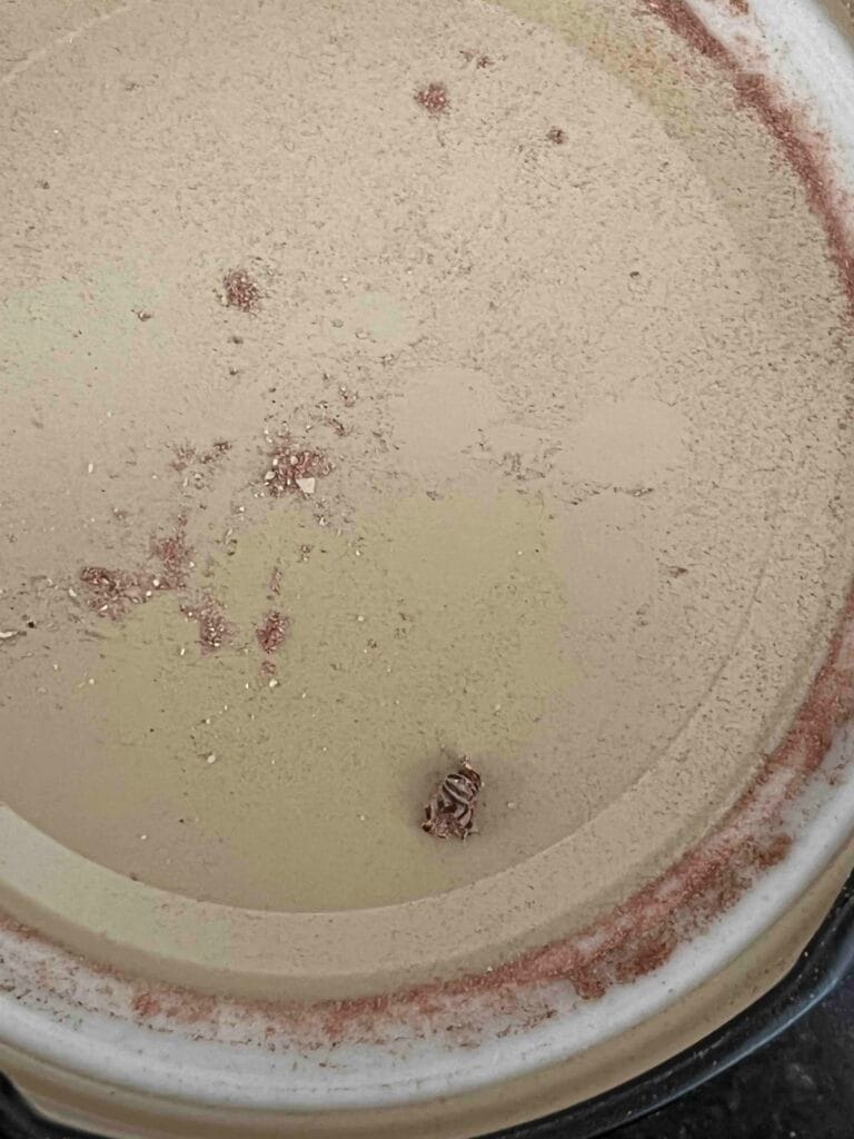 Image #2 from F** Ç**