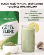 Naturiga Organik Yeşil Karışım 100 g