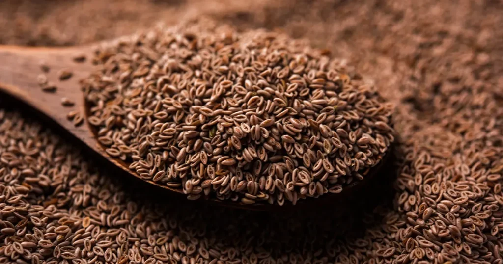 Psyllium (Karnıyarık Otu Tozu) Tohumları