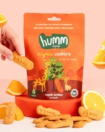 Humm Organik Vegan Portakallı Kurabiye 55 g