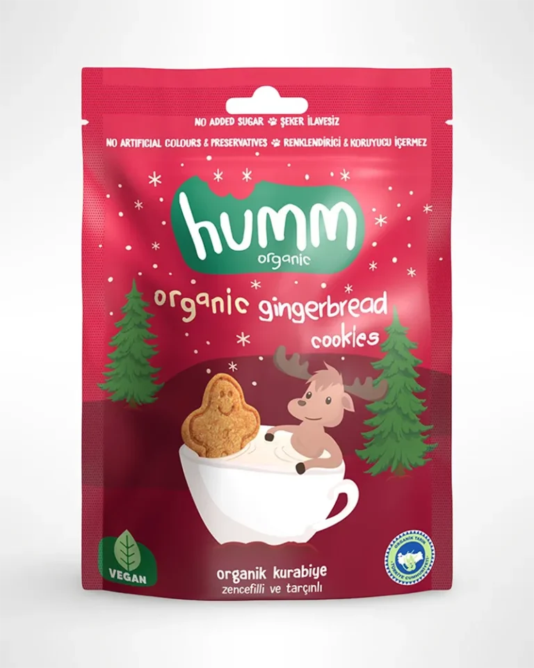 Organik Vegan Zencefilli ve Tarçınlı Kurabiye 55 g (Humm Organic)